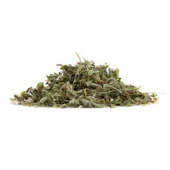 Damiana | Turnera aphrodisiaca