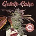 Gelato Cake (T.H.Seeds) Feminiserede