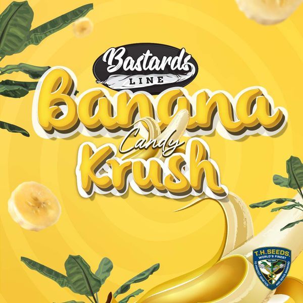 Banana Candy Krush (T.H.Seeds) Feminiserede