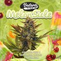 Melonsicle (T.H.Seeds) Feminiserede