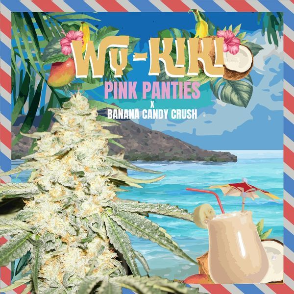 Wy-Kiki (T.H.Seeds) Feminiserede