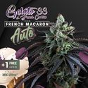 Auto French Macaron (T.H.Seeds) Feminiserede