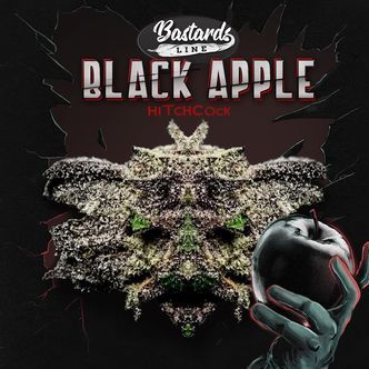 Black Apple Hitchcock (T.H.Seeds) feminiserede cannabisfr&oslash;