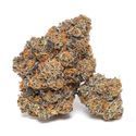 King Louis Garcia (Growers Choice) Feminiserede