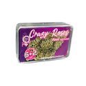 Crazy Roses Fast Version (Growers Choice) Feminiserede