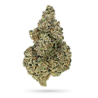 Crazy Roses Fast Version (Growers Choice) Feminiserede