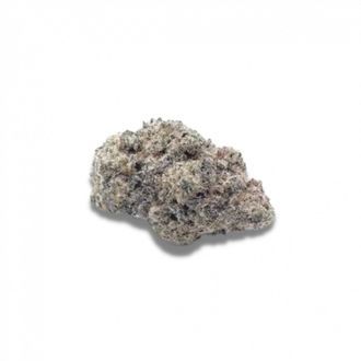 Cherry Zoap Autoflower (Growers Choice) Feminiserede