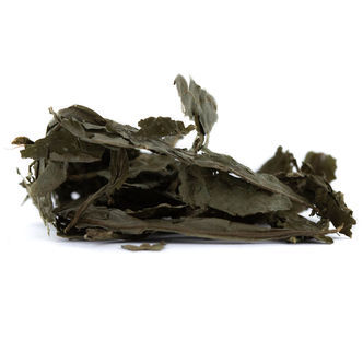 Salvia t&oslash;rrede blade