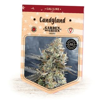 Candyland (Garden of Green) Feminiserede