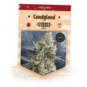 Candyland (Garden of Green) Feminiserede