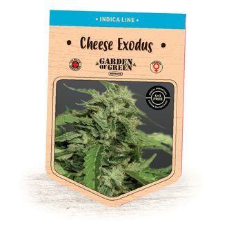 Cheese Exodus (Garden of Green) feminiserede cannabisfr&oslash;