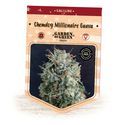 Chemdog Millionaire Guava (Garden of Green) Feminiserede