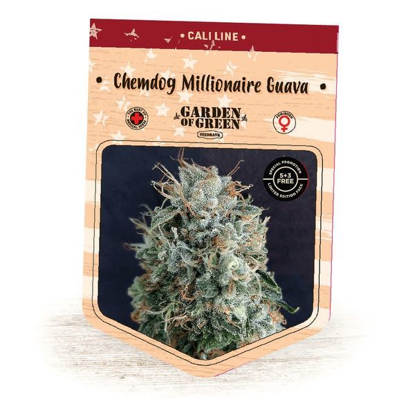 Chemdog Millionaire Guava (Garden of Green) Feminiserede