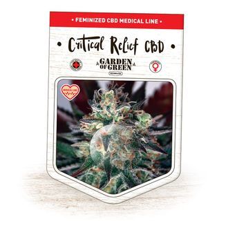 Critical Relief CBD (Garden of Green) Feminiserede