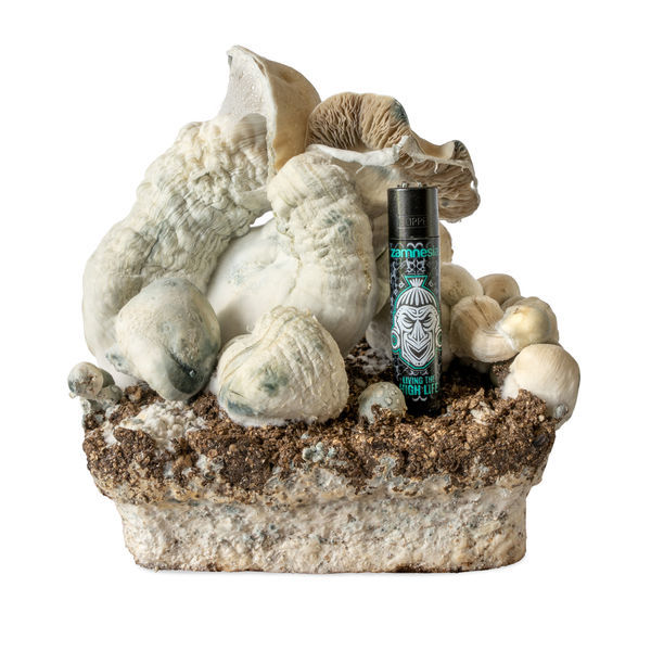 Melmac Monster væskekulturssprøjte (Acid Shroomz)