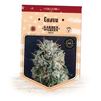 Guava (Garden of Green) Feminiserede