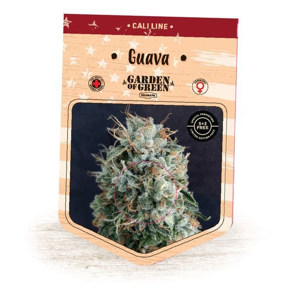 Guava (Garden of Green) Feminiserede