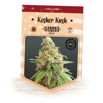 Kosher Kush (Garden of Green) feminiserede cannabisfr&oslash;