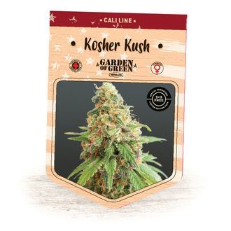 Kosher Kush (Garden of Green) Feminiserede