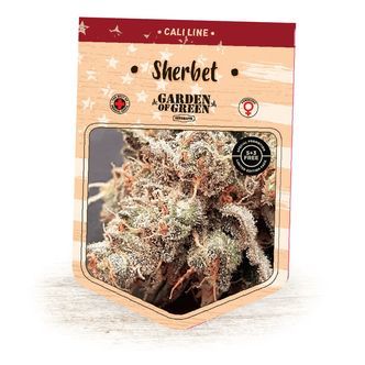 Sherbet (Garden of Green) Feminiserede cannabisfr&oslash;