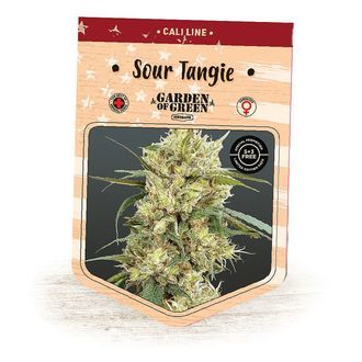 Sour Tangie (Garden of Green) Feminiserede