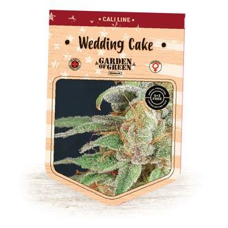Wedding Cake (Garden of Green) feminiserede cannabisfr&oslash;