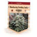 Blueberry Cookies Auto (Garden of Green) Feminiserede