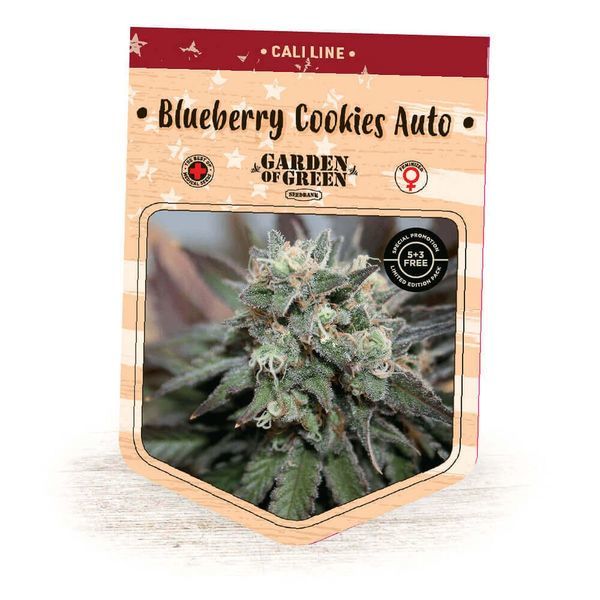 Blueberry Cookies Auto (Garden of Green) Feminiserede