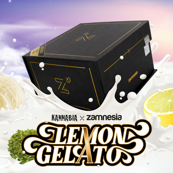 Lemon Gelato (Kannabia x Zamnesia) Feminiserede