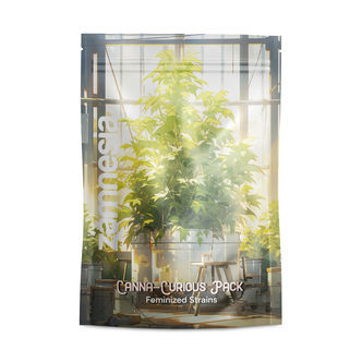 Canna-Curious Pack &ndash; feminiserede sorter