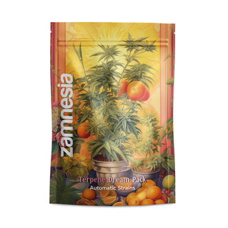 Terpene Dream Pack - Autoflower-sorter