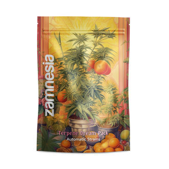Terpendr&oslash;m-pakke - Autoflower sorter