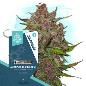 Farverig havepakke - Autoflower sorter
