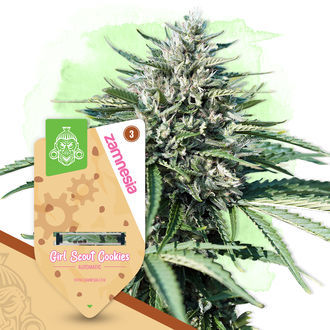 Farverig havepakke - Autoflower sorter