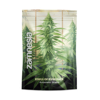 Kings of Kush-pakke - Autoflower sorter