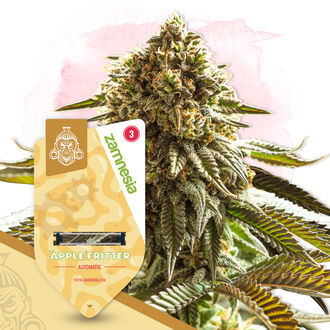 Super THC-pakke - Autoflower sorter