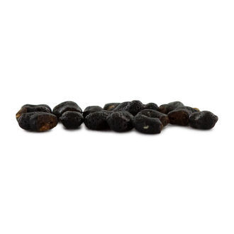 Prickly Pack - Mescalin-kaktusfrø