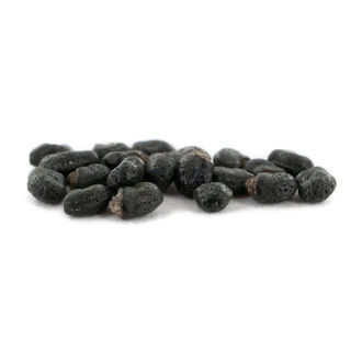 Prickly Pack - Mescalin-kaktusfrø
