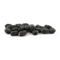 Prickly Pack - Mescalin-kaktusfrø