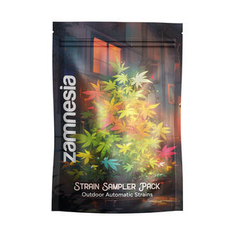Sorts-pr&oslash;vepakke - udend&oslash;rs Autoflower