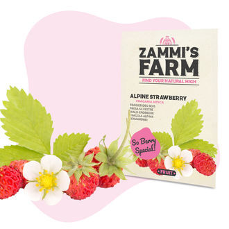 Frugtfrøpakke - Zammis Farm