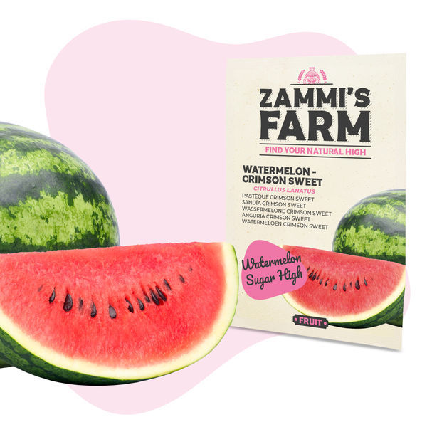 Frugtfrøpakke - Zammis Farm