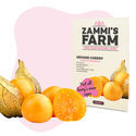 Frugtfrøpakke - Zammis Farm