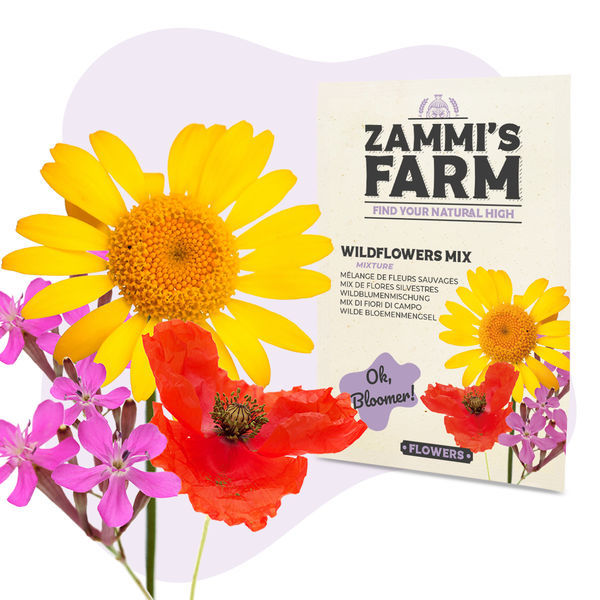 Blomsterfrøpakke - Zammis farm