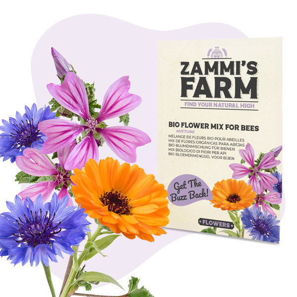 Blomsterfrøpakke - Zammis farm