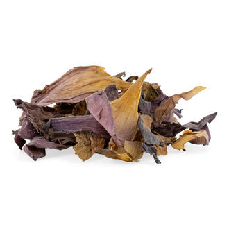 Top Fit! Te