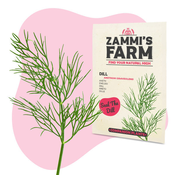 BBQ-urtefrøpakke - Zammi's Farm