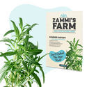 Urtete-frøpakke – Zammi's Farm