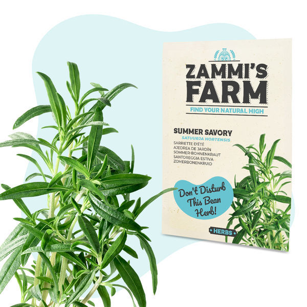 Urtete-frøpakke – Zammi's Farm