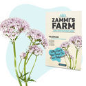 Urtete-frøpakke – Zammi's Farm